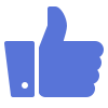 icons8-facebook-like-100 (1)